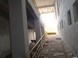 img-semana_2-00 3